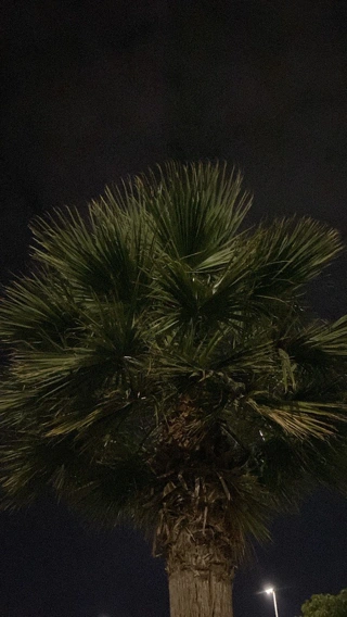 جوهره الجابري