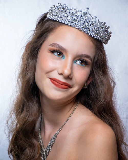 Accessories - Silver - image 1